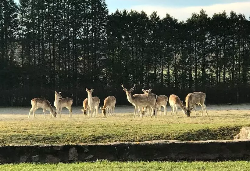 Aamiaismajoitus (B&B) Chateau Des Mussets