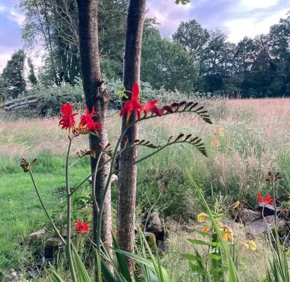 ベッドアンドブレックファースト Chateau Gioux