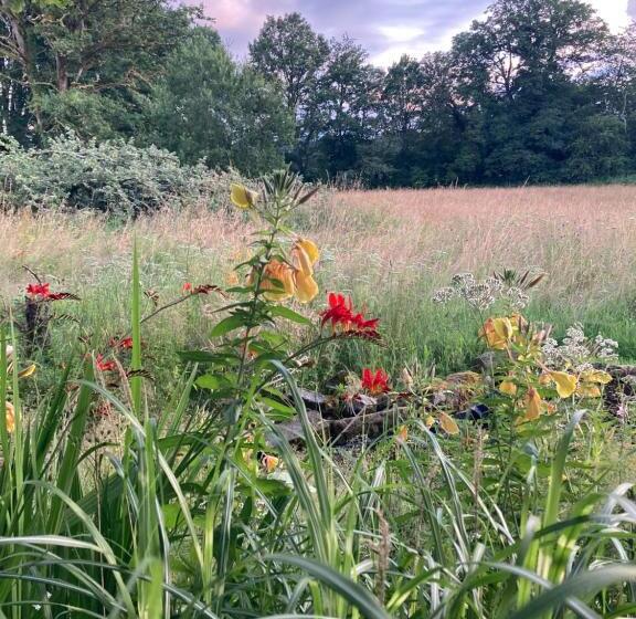Bed and Breakfast Chateau Gioux