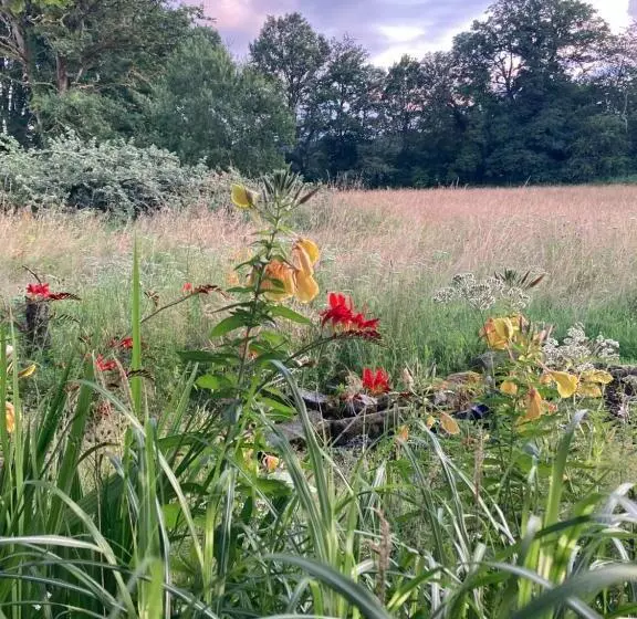 ベッドアンドブレックファースト Chateau Gioux