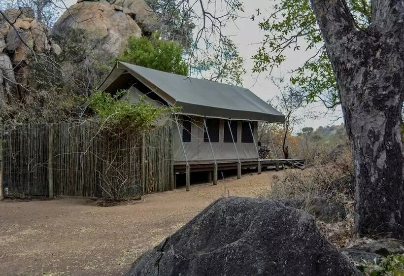 ホテル Abelana Safari Camp