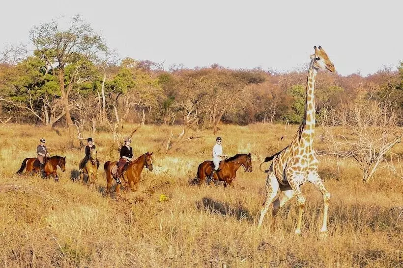 ホテル Abelana Safari Camp