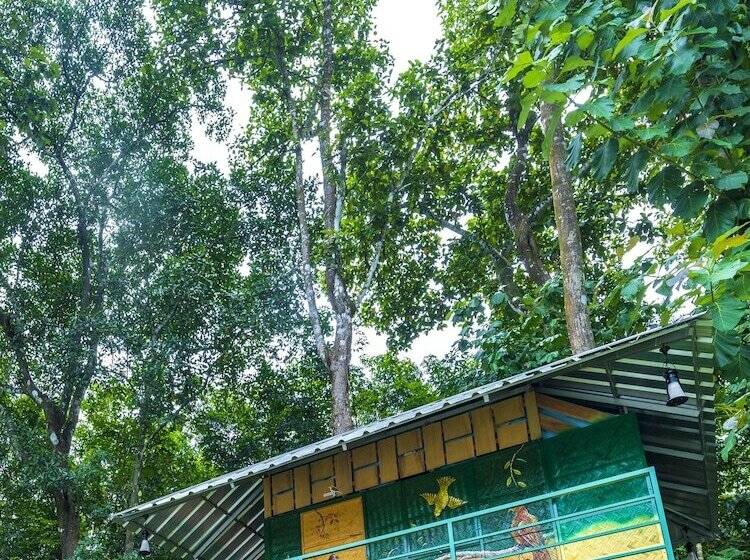 בית מלון כפרי Budgies Cottage