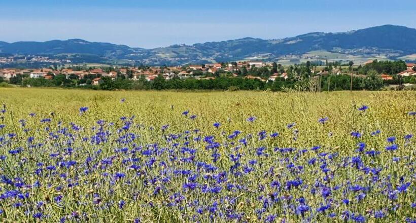 بنسيون Gite Les Arches