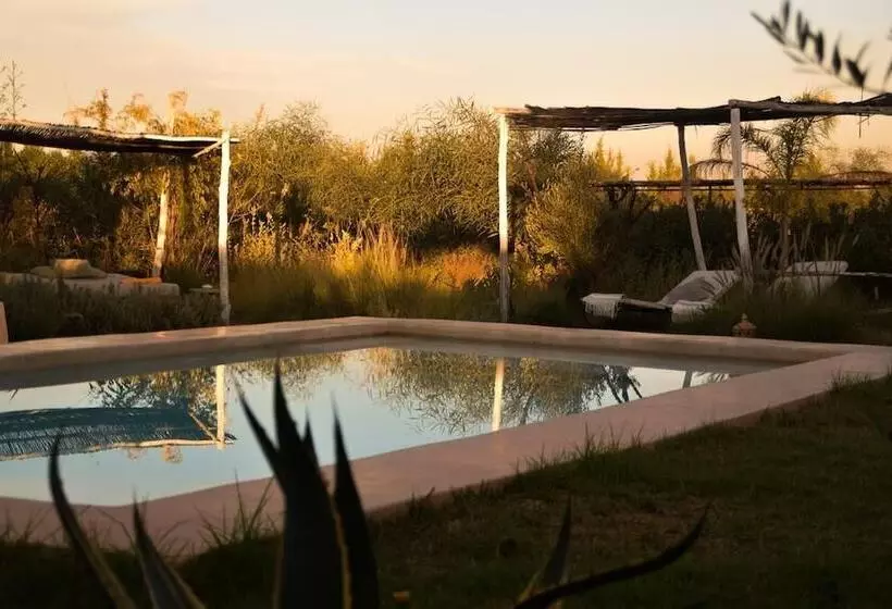 Majatalo Les Asnouss