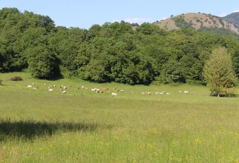 Aamiaismajoitus (B&B) Du Cote De Lacoume