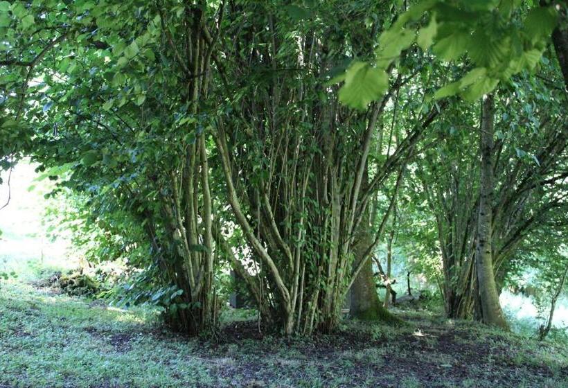 住宿加早餐 Du Cote De Lacoume