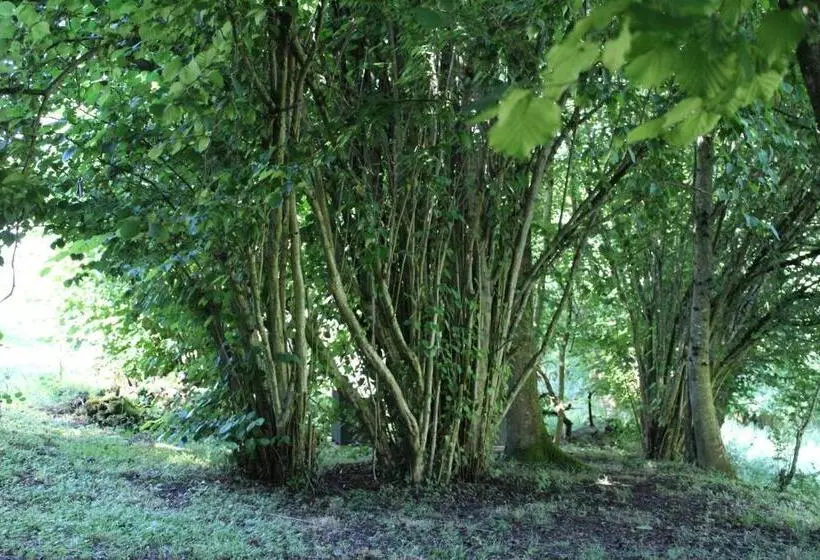 Aamiaismajoitus (B&B) Du Cote De Lacoume