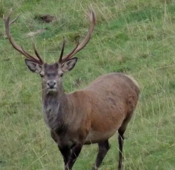Aamiaismajoitus (B&B) Du Cote De Lacoume