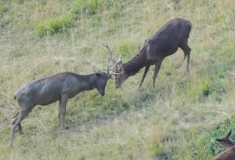 Aamiaismajoitus (B&B) Du Cote De Lacoume
