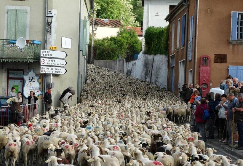 住宿加早餐 Du Cote De Lacoume