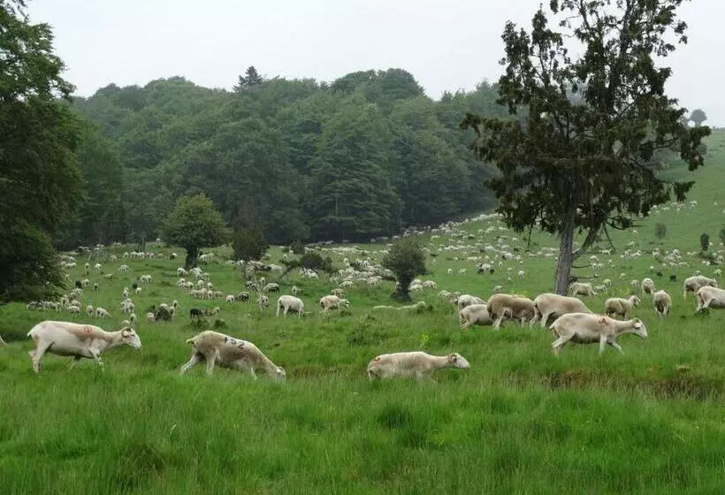 Aamiaismajoitus (B&B) Du Cote De Lacoume