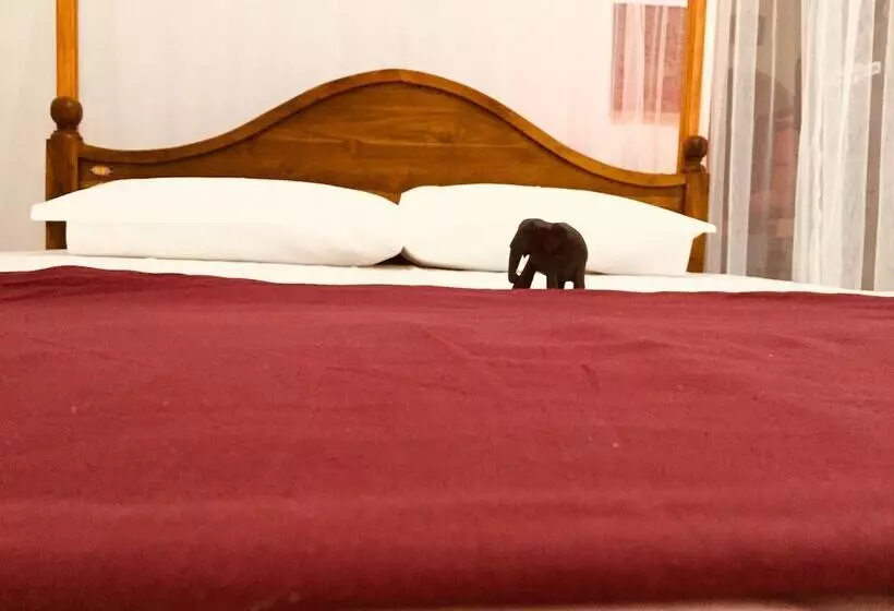 Hostelli Toropi Homestay