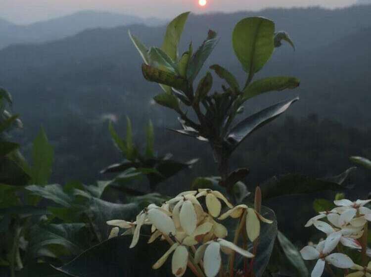 簡易ホテル Toropi Homestay