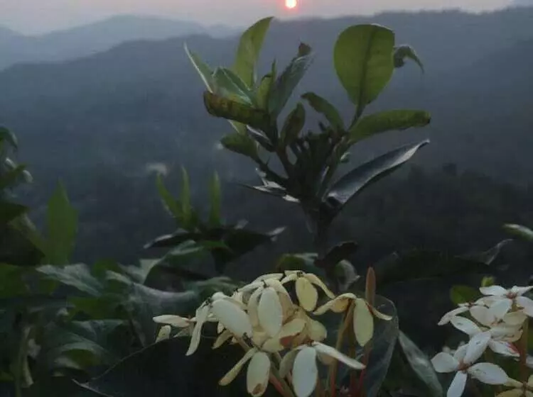 Hostelli Toropi Homestay