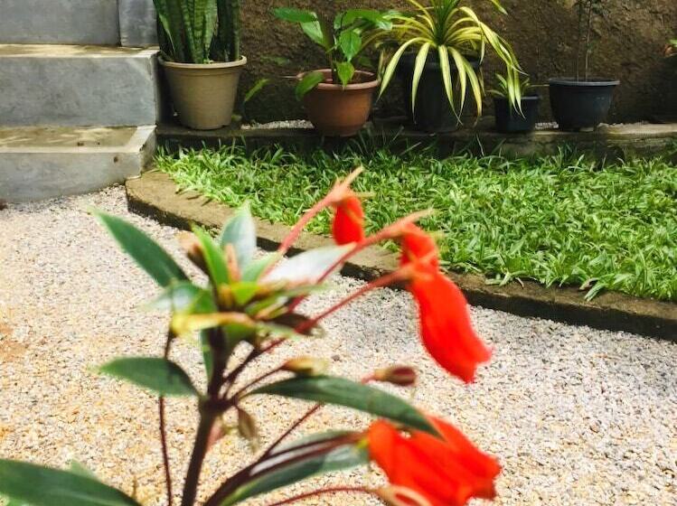 簡易ホテル Toropi Homestay