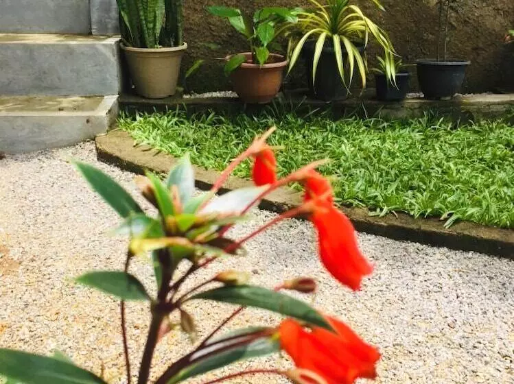 Hostelli Toropi Homestay