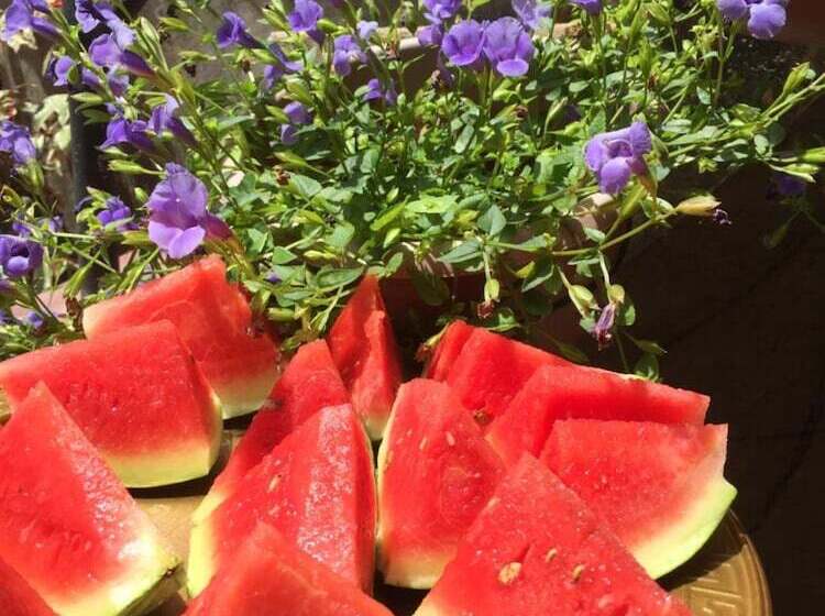 簡易ホテル Toropi Homestay