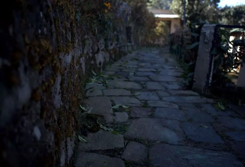 ホテル Parwati Resort  A Luxury Himalaya View Resort In Patal Bhuvaneshwar