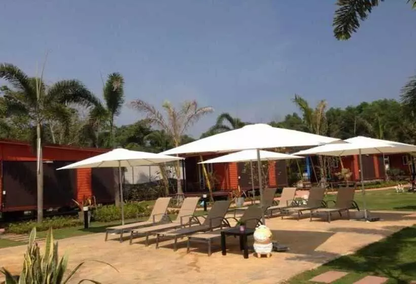 Hotelli The Toy Art Resort