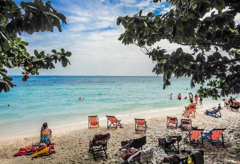 هتل The Toy Art Resort