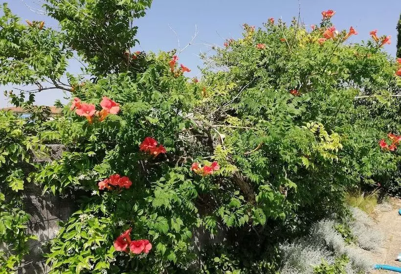 Majatalo Maison D Architecte Chez Huguette