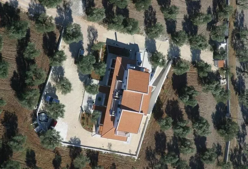 Aamiaismajoitus (B&B) Villa Vesta