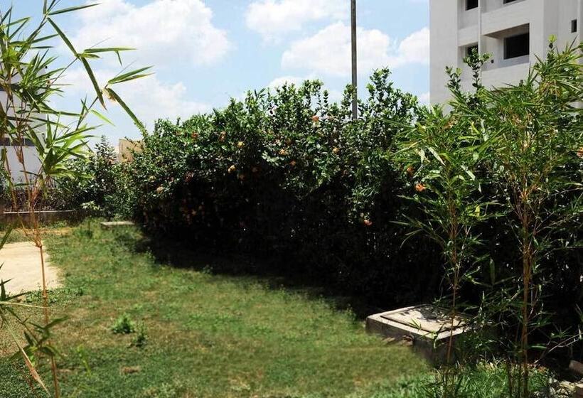 Home Stayz Service Apartment