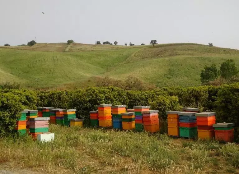 Hostelli Agriturismo Trappeto Vecchio