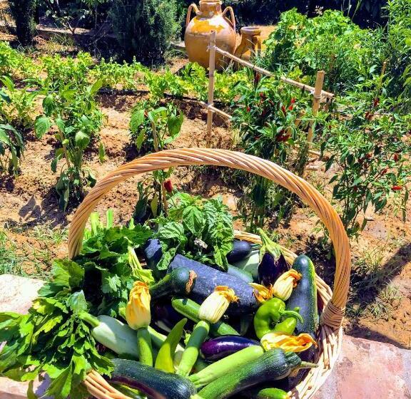 فندق فئة نجمة واحدة Agriturismo Trappeto Vecchio