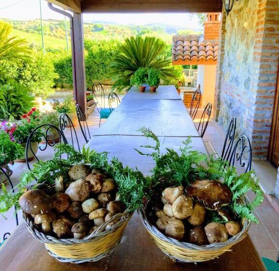 فندق فئة نجمة واحدة Agriturismo Trappeto Vecchio