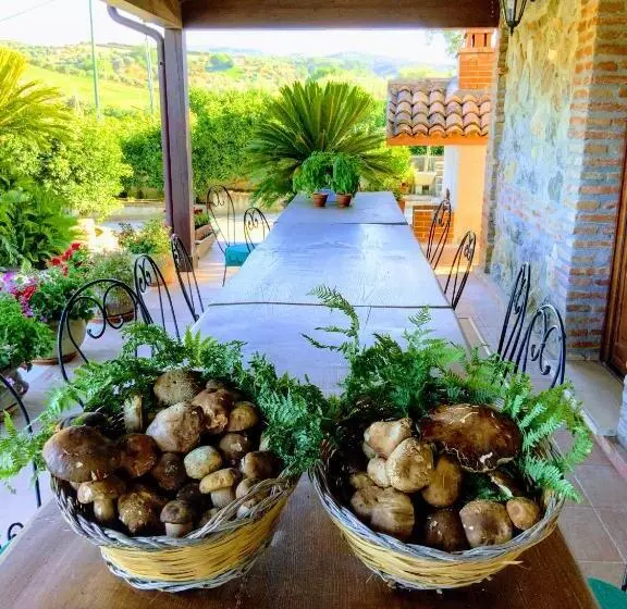 Hostelli Agriturismo Trappeto Vecchio