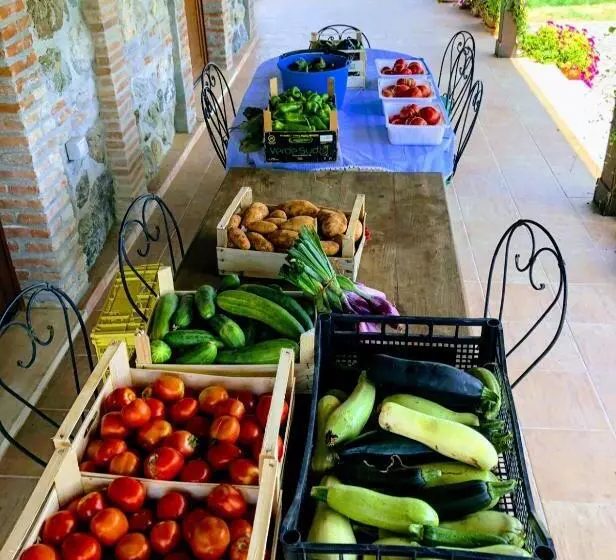 Hostelli Agriturismo Trappeto Vecchio