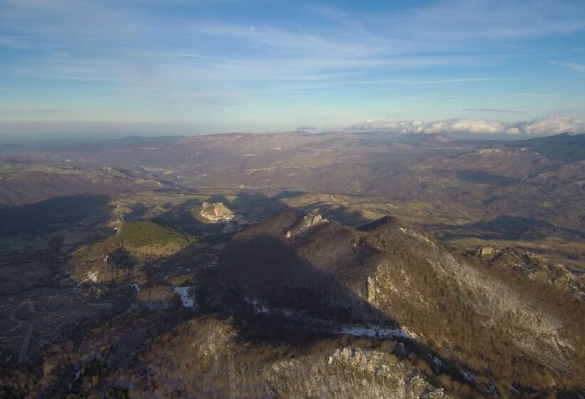 ホテル Delberg Palace