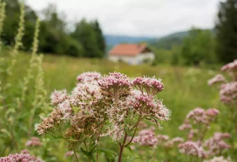 Hotelli Domaine Des Messires