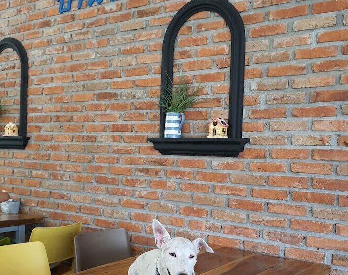 酒店 Ginger Bread House  Pet Lover Resort