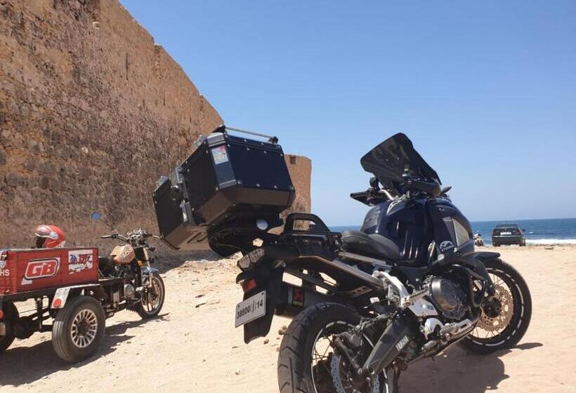 Пансион L'arganier Solitaire