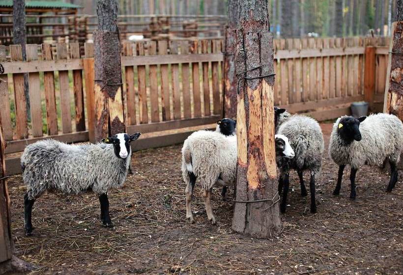 Shishki Na Lampushke   Bavarsky Khutor