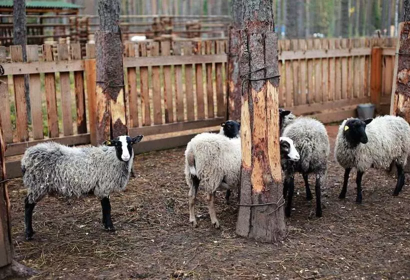 Shishki Na Lampushke   Bavarsky Khutor