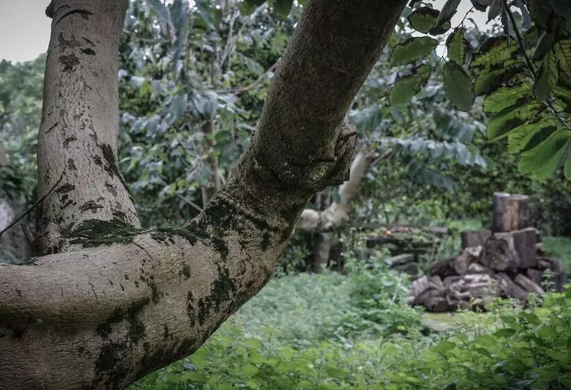 Casa Do Pico Da Pedra