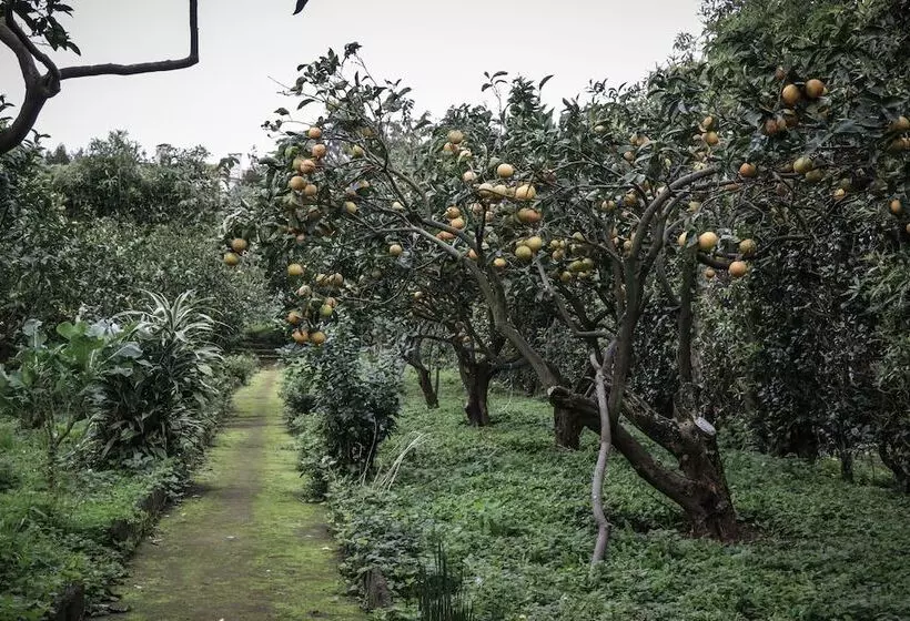 Casa Do Pico Da Pedra