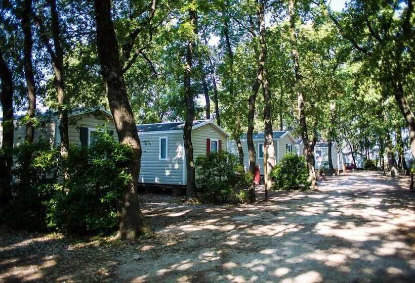 ホテル Camping Le Bois Des Ecureuils