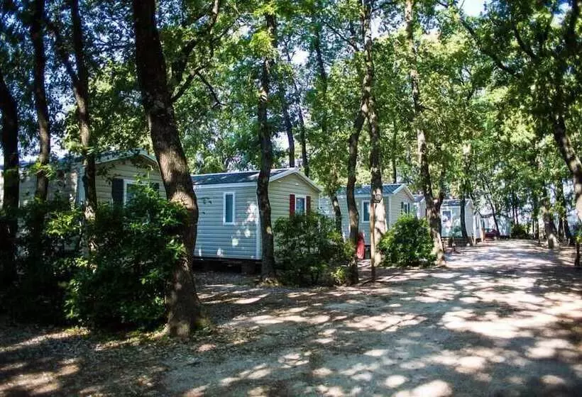 ホテル Camping Le Bois Des Ecureuils