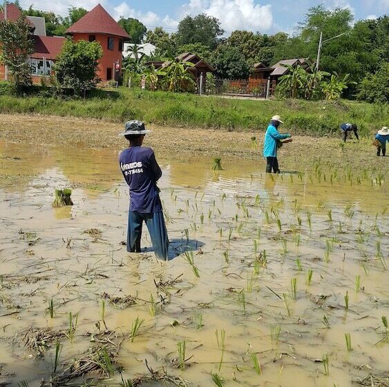 Hotel Khemmarat Baandin Resort