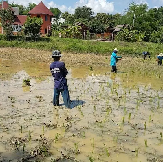 Hotelli Khemmarat Baandin Resort
