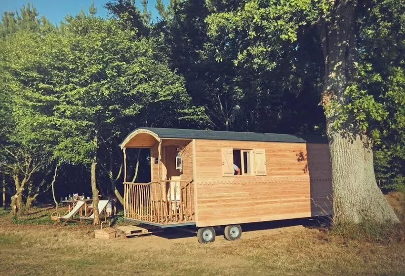 ホテル La Chouette Cabane