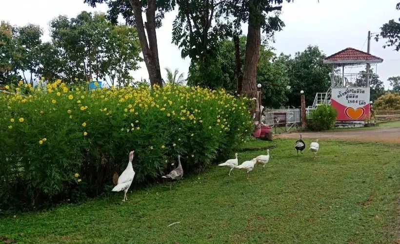 ホテル Phuchandang Resort