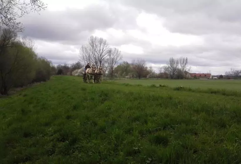 Maaseutuhotelli Zoopark Zelčín