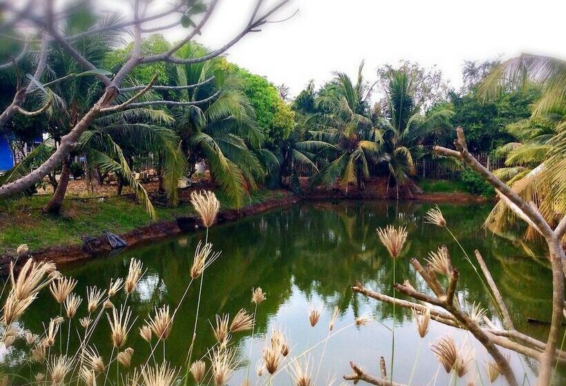 هتل The Zoosk Resort