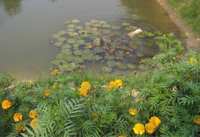 هتل The Zoosk Resort